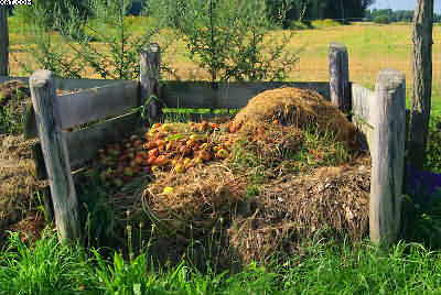 compost heap well stacked
